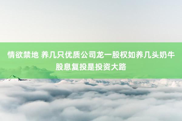 情欲禁地 养几只优质公司龙一股权如养几头奶牛股息复投是投资大路