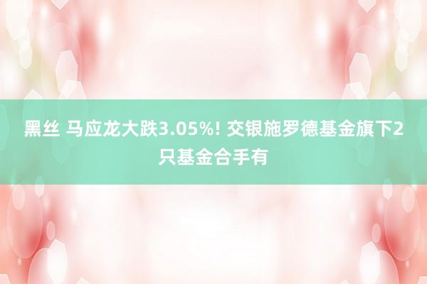 黑丝 马应龙大跌3.05%! 交银施罗德基金旗下2只基金合手有