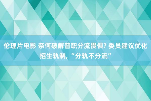 伦理片电影 奈何破解普职分流畏俱? 委员建议优化招生轨制， “分轨不分流”